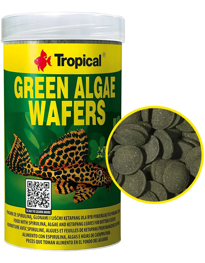 alimento-green-algae-wafers-tropical-aquascaping-pro